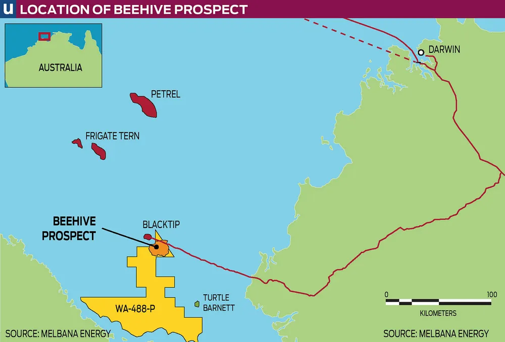 Beehive: prospect could be drilled late next year