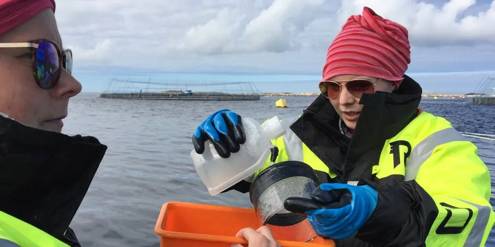 Du skal lete lenge for å finne en utdanning hvor du er ferdig utdannet etter endt skolegang. Du skal også lete lenge for å finne ei næring som ikke har behov for innovasjon og forskning, skriver kronikkforfatterne. Bildet viser prøvetaking i nærheten av oppdrettsanlegg på Frøya på jakt etter lakseluslarver.