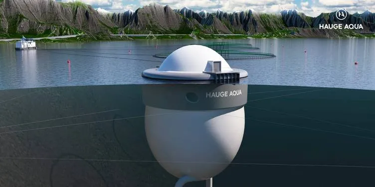 Hauge Aquas egg-merd. (Illustrasjon utarbeidet av bedriften)