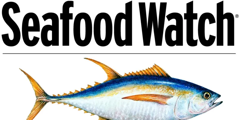 Monterey Bay Aquarium seeks new aquaculture head for Seafood Watch