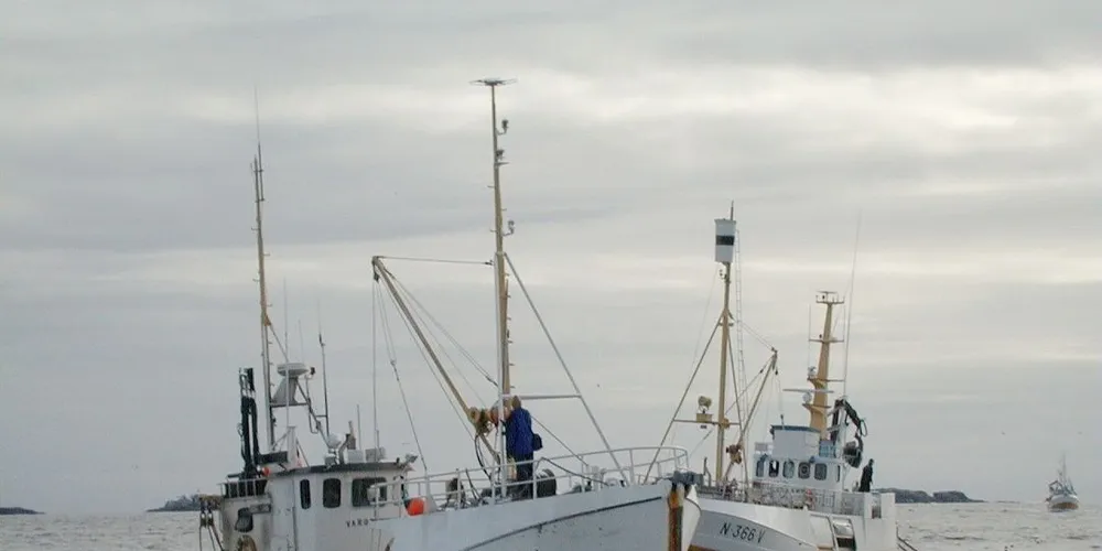 Dersom regjeringen tar hensyn til høringssvarene, blir det få endringer av fiskerilovene. Illustrasjonsfoto: Bjørn Tore Forberg