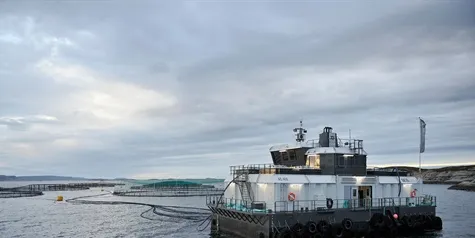 Akva: Russian salmon farming industry poised for growth