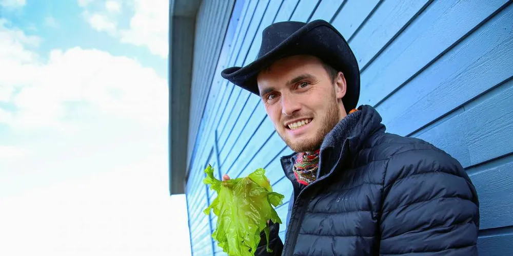 SATSER: Daniel Fonn Aluwini skal selge havsalat fra Andfjorden til eksklusive restauranter verden over. Foto: Silje Helene Nilsen
