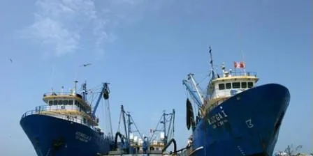 Copeinca boosts steam-dried fishmeal production
