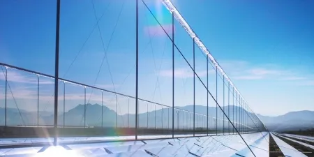 Solar Millennium ex-boss gets top job at ABB-backed Novatec