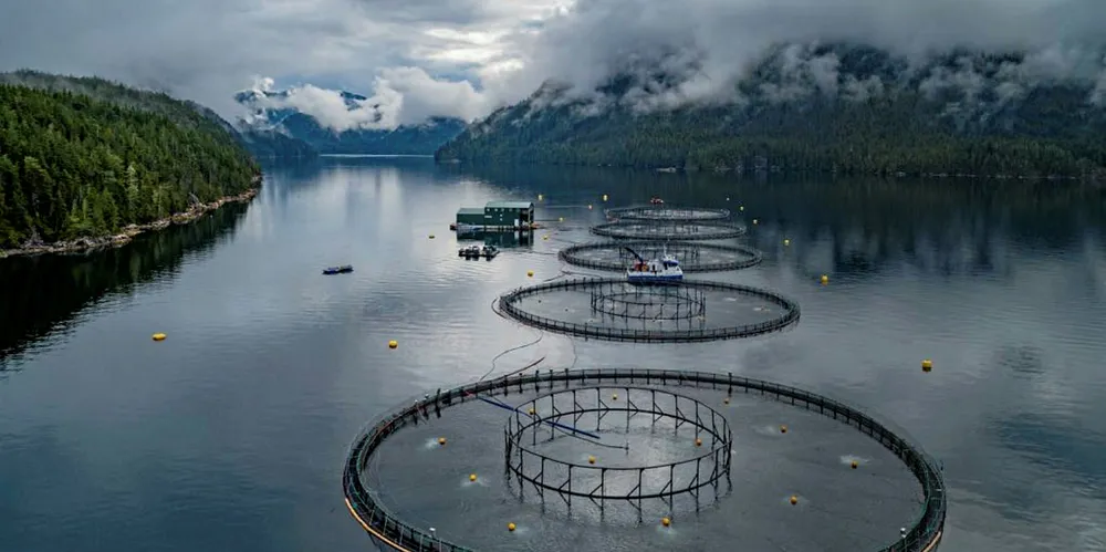 On May 20, Grieg Seafood’s fifth and final farm in Nootka Sound received its Aquaculture Stewardship Council (ASC) Certification, making Nootka Sound Grieg’s first fully ASC-certified region.