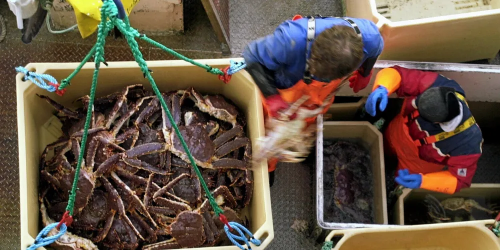 Fiskeriministeren håper kongekrabbekvote kan lokke flere til fiskerinæringen.