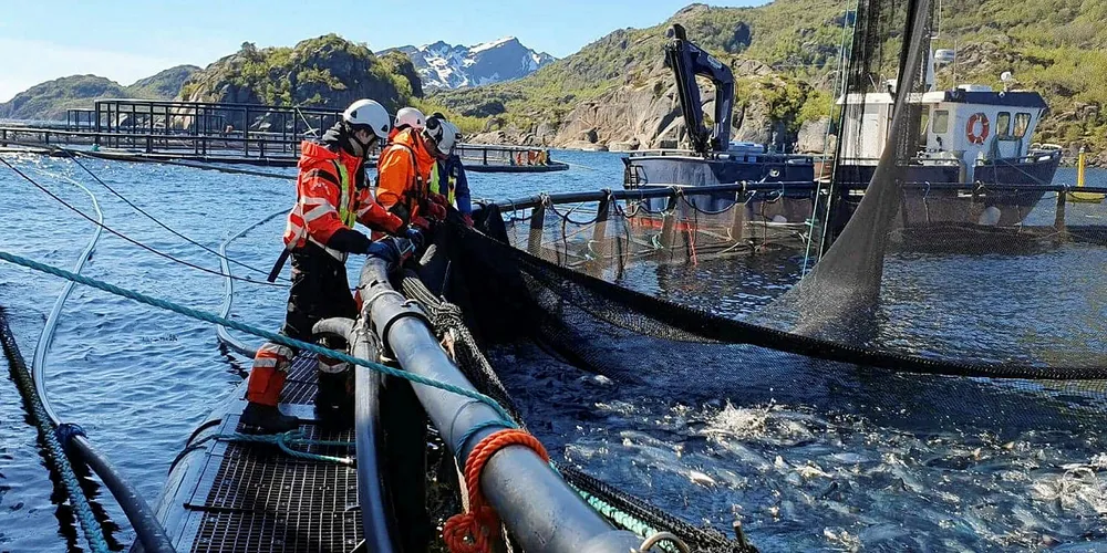 NY RAPPORT: En ny forskningsrapport skisserer fire scenarier (framtidsbilder) som tar for seg rammevilkårene for arealpolitikk i Nordland med 2050 som tidsperspektiv.