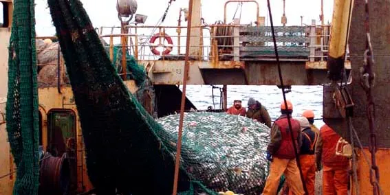 Russian fisheries giant to invest in new bottom trawlers, fleet renewal
