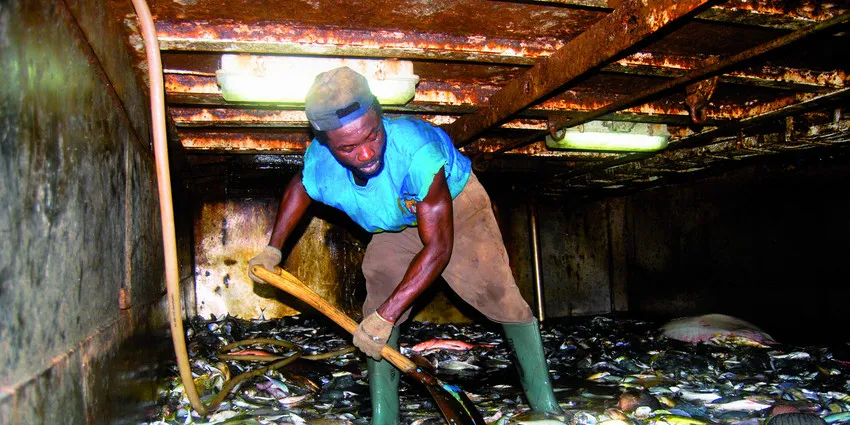Fight or flight? Foodservice buyers have different approaches on slavery in the supply chain