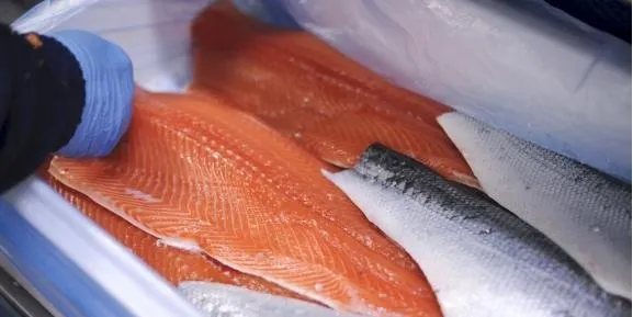 Belarus, others help Norway's salmon farmers skirt Russia's import ban