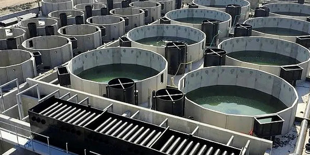 Land-based aquaculture.