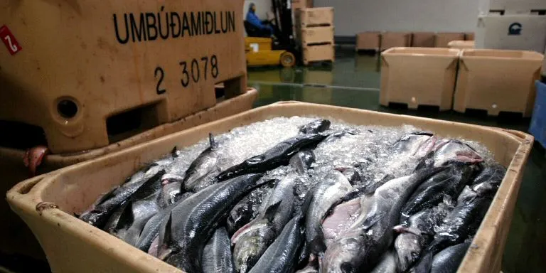German seafood trader changes ownership