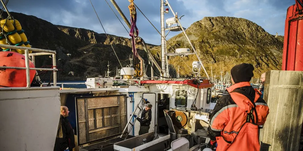 Næringen er i gang med å tilpasse seg ny landingsforskrift. Illustrasjonsfoto fra Fiskemottaket Nordvågen. Foto: Per Thrana