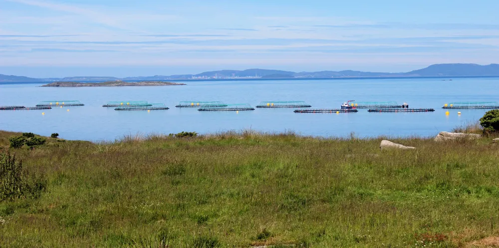 Lokaliteten Rennaren tilhører Grieg Seafood Rogaland. Den ligger på Rennesøy nord for Stavanger. På lokaliteten er det både undervisningstillatelse og FoU-tillatelse. Tillatelsene eies sammen med Skretting og Rogaland Fylkeskommune