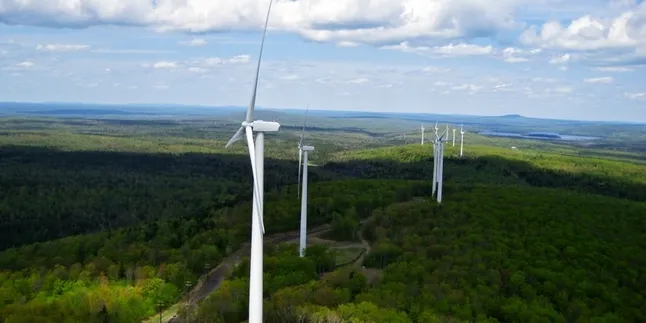 Canada's Brookfield buys 12% stake in SunEd yieldco TerraForm Power
