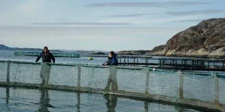 Vil ha bort røkter-navnet
