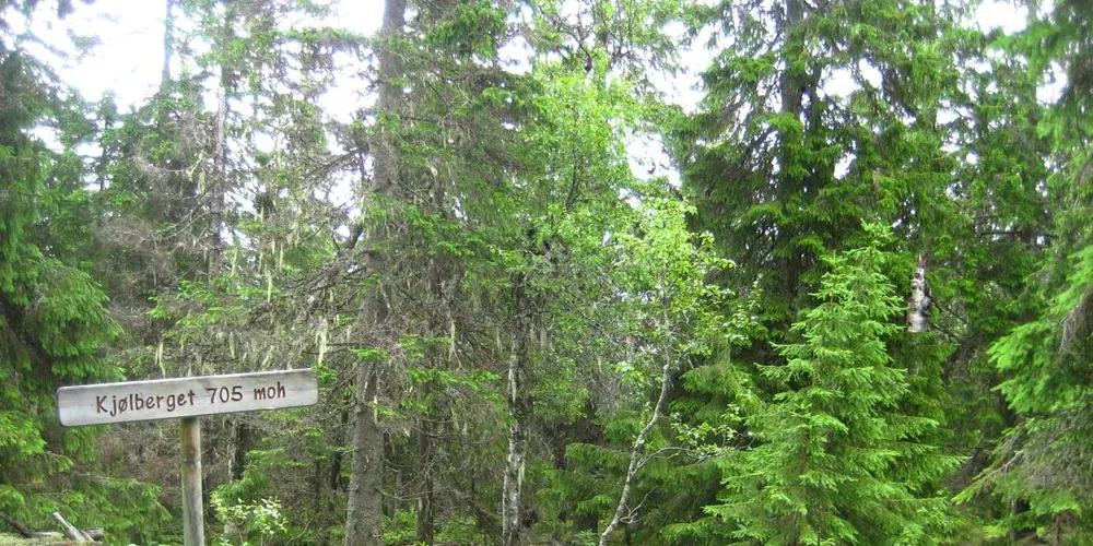 OED godkjenner Kjølberget (40 MW)