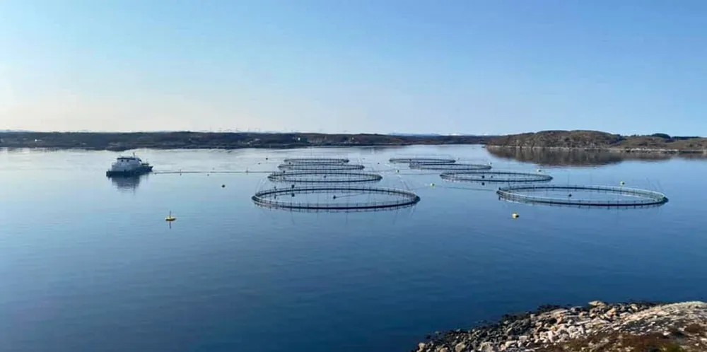 Torskeoppdrett kan bli positivt for både fiskeindustrien og fiskerne, ikke minst i høyere priser og jevn produksjon som kan sikre aktivitet på land større deler av året.