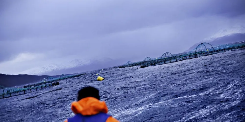Grieg Seafood Finnmark har fått et overtredelsesgebyr på litt over 900.000 kroner. Illustrasjonsfoto: Brian Cliff Olguin