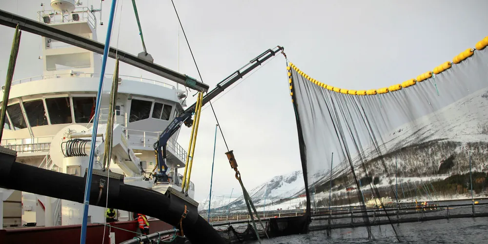Fleire norske oppdrettsselskap har investert i eigne brønnbåtar dei siste åra. Framover kan det komme enda fleire kontraheringar. Å få ned kostnadar og å ha eigen kapasitet er dei viktigaste argumenta.