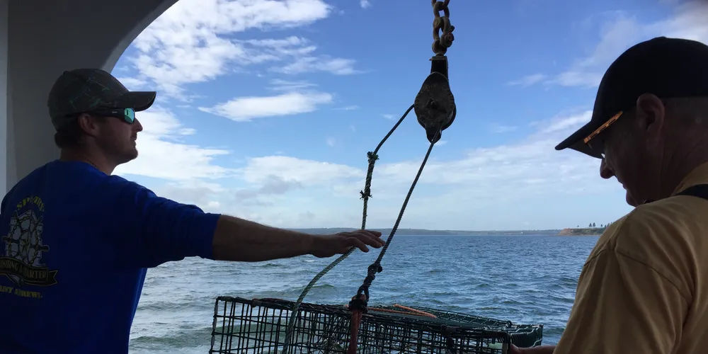Spears' Fishing & Charter - lobster hauling