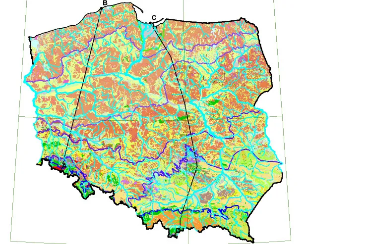 Polish promise: Wisent Oil & Gas moving ahead with drill plans