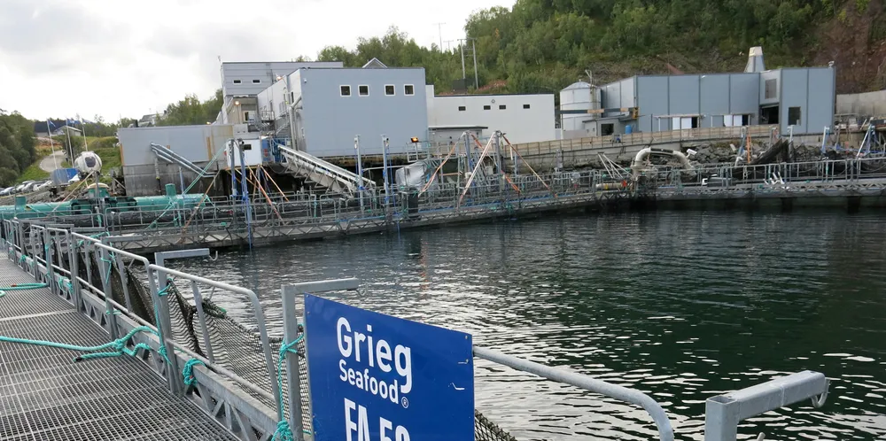 - Miljøundersøkelsen, som er ventet å ta noen dager, vil gi endelig svar, opplyser samfunnskontakt i Grieg Seafood, Roger Pedersen.