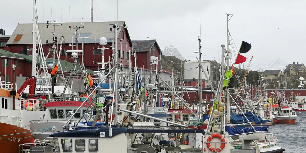 UORGANISERTE: Tre av fire fiskebåter som leverte fangst i Norges Råfisklags distrikt var ikke medlemmer av noen organisasjon, viser tall fra Råfisklaget.
