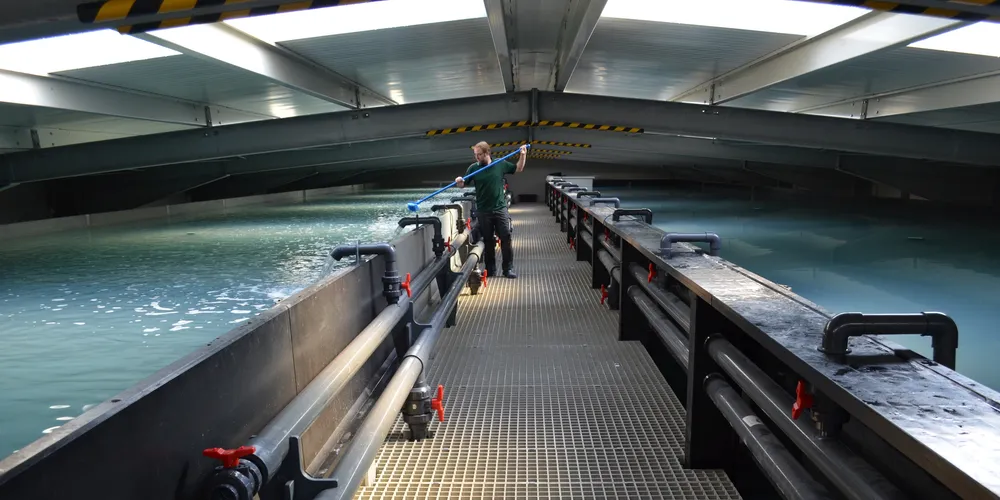 Photo: Green Aqua Farming