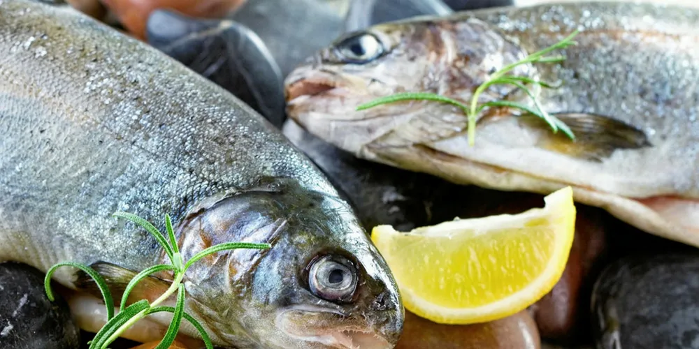 The new owners of Australis's Massachusetts barramundi farm already co-own two other aquaculture operations in Cape Cod and New Hampshire under the name Blue Stream Aquaculture.
