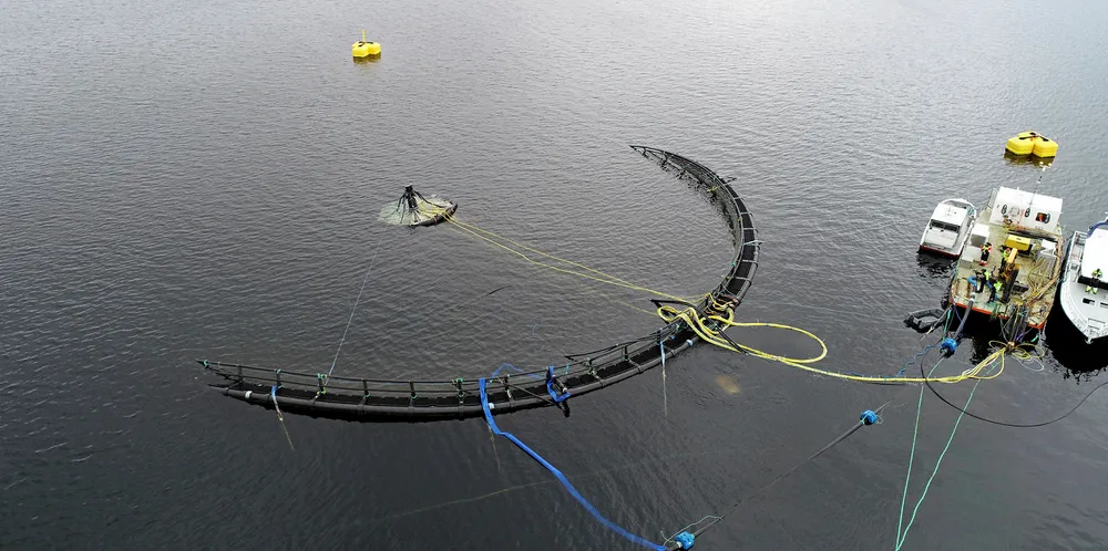 Atlantis Subsea Farming's cage being raised from the water.