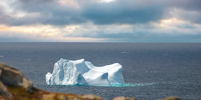 Canada's Beothuk proposes C$4bn offshore wind project