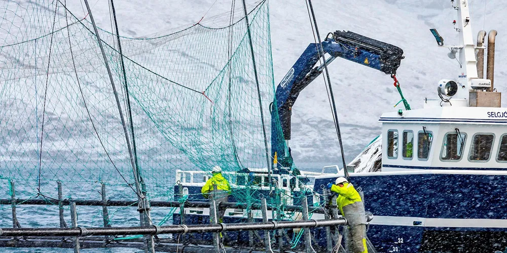 Faroese salmon farmer Bakkafrost's Gotuvik A-25 site. The group continues to be among the most valuable companies in the seafood industry.
