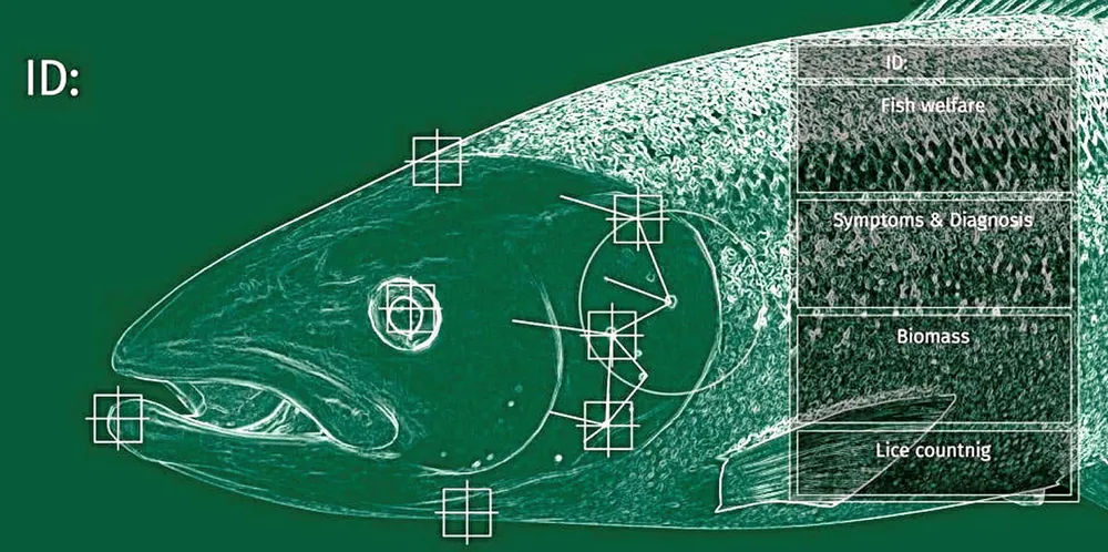 "Checking the fish in real time with cameras from multiple angles opens up to tell more about each fish, but at the same time it requires a lot from the software and hardware solutions we develop," said BioSort General Manager Geir Stang Hauge.