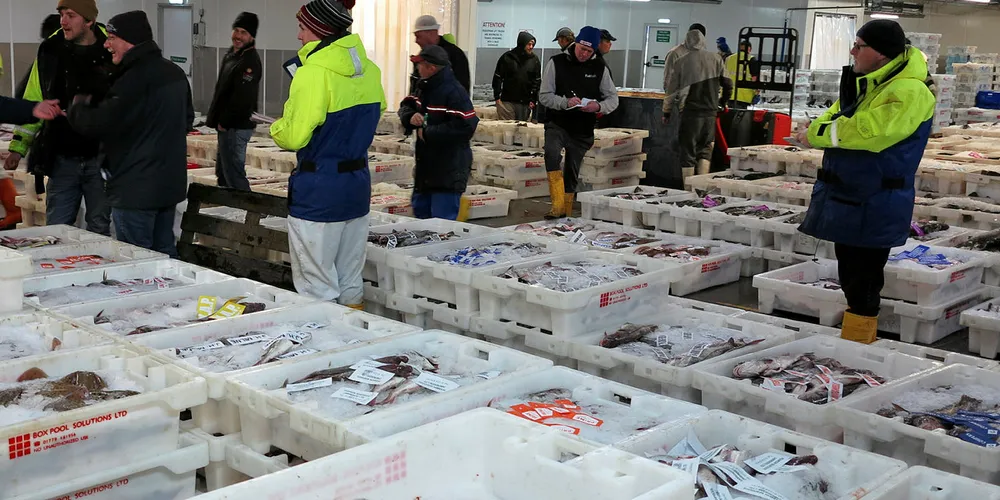 STORE VOLUM: Peterhead har fått en ny fiskehall og er i ferd med å sette rekord for landinger i andre året på rad.