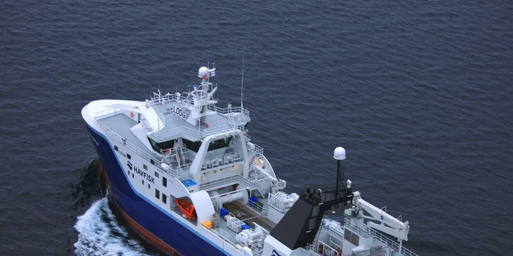 Havfisk shifts to shrimp, redfish to compensate for falling cod quotas