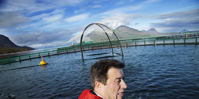 Tarald Sivertsen mener det ikke er noe enkelt svar på om det er lurt at den norske havbruksnæringen er samlet i én eller flere næringsorganisasjoner.