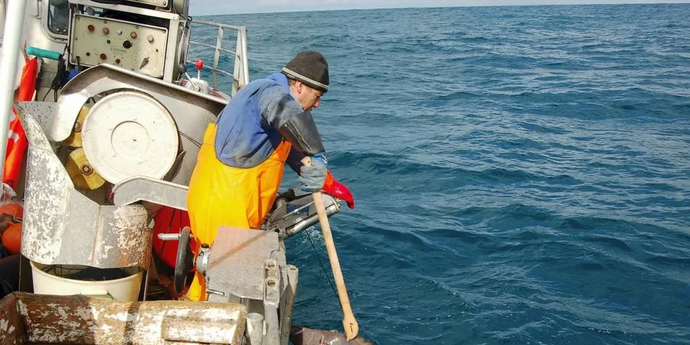 Fiskeridirektoratet åpner to fiskefelt som har vært stengt siden 2011 og 2012. Illustrasjonsfoto: Knut Arne Høyvik