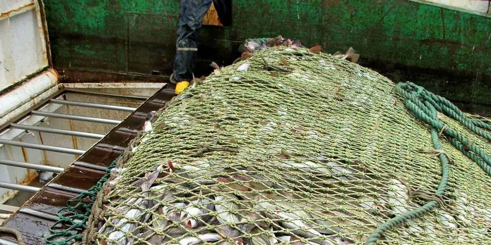 Trålhal fra Barentshavet: For fiskerinæringen er spørsmålet om vern av iskanten, og hvordan den defineres, svært betydningsfullt, skriver dagens kronikk-gjest.Illustrasjonsfoto: Terje Jensen