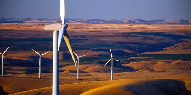 NextEra lifts 2017/18 guidance as US market roars
