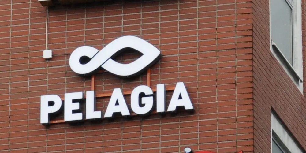 Pelagia AS har gått til sak mot Nergård Pelagic AS. Illustrasjonsfoto: Kjersti Kvile