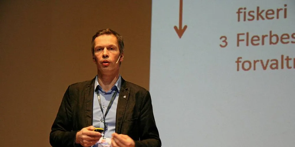 NY GJENNOMGANG: HI ønsker snarlig gjennomgang av ICES metode for å beregne makrellbestanden, skriver Geir Huse, forskningsdirektør ved Havforskningsinstituttet.Arkivfoto: Havforskningsinstituttet