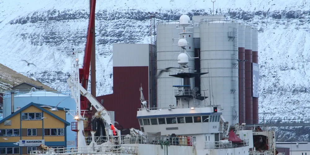 Faroes not scared by Scottish ISA