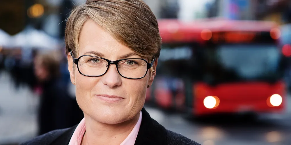 Tidligere miljøminister går mot opprinnelsesgarantiene