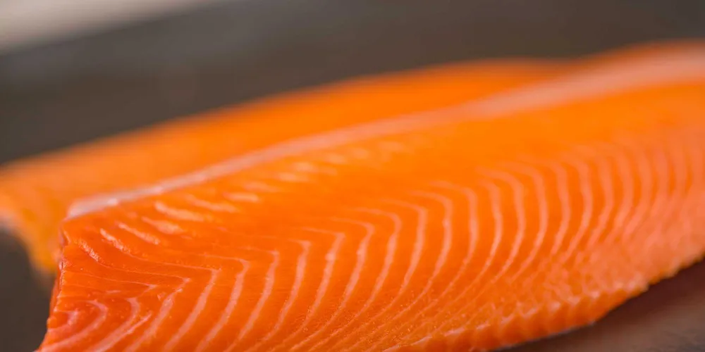 Ventisqueros to harvest first volumes of algae-fed premium farmed coho this year