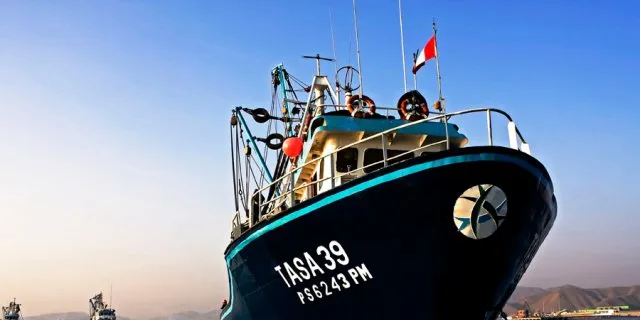 Peru blog: Anchovies -- the feed sector and the food sector