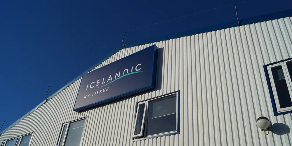 The Ny-Fiskur processing plant is located in Sandgerdi, just 7 kilometers from Keflavik airport. Photo: IntraFish
