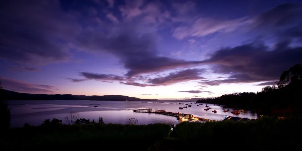 Photo: Huon Aquaculture
