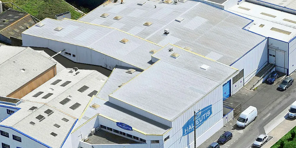 French plant resumes operations after fi. Halieutis.